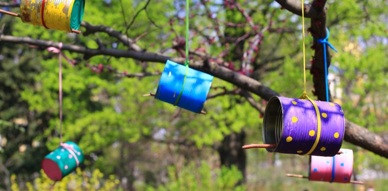 Cum faci căsuțe pentru păsări din materiale reciclate